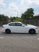 Alfa Romeo Giulia 2.0 Turbo 16V 206 kW AT8-Q4 Veloce Veloce - Alfa Romeo: Weiß