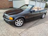 BMW 318Ci - sehr gepflegtes Cabrio - BMW 318 aus 2003
