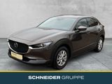 Mazda CX-30 SELECTION 2.0 SKYACTIV M HYBRID SHZ+PDC - Mazda CX-30 aus 2020