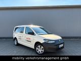 Volkswagen Caddy Maxi Rollstuhl LED 7-Sitzer Taxi Mietwagen - : Kleinbus, Mietwagen