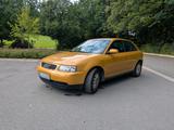 Audi A3 8L 1.6 (1999) - 8 Fach Bereift - gebrauchte Audi A3 aus dem Jahr 1999