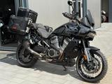 Harley-Davidson Pan America Special 1250 Top Zustand*Top Zubehör - HARLEY-DAVIDSON PAN AMERICA 1250 SPECIAL
