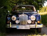 Jaguar - OLDTIMER - Jaguar MK II 2,5L V8 (automatic) - Jaguar: Mk V