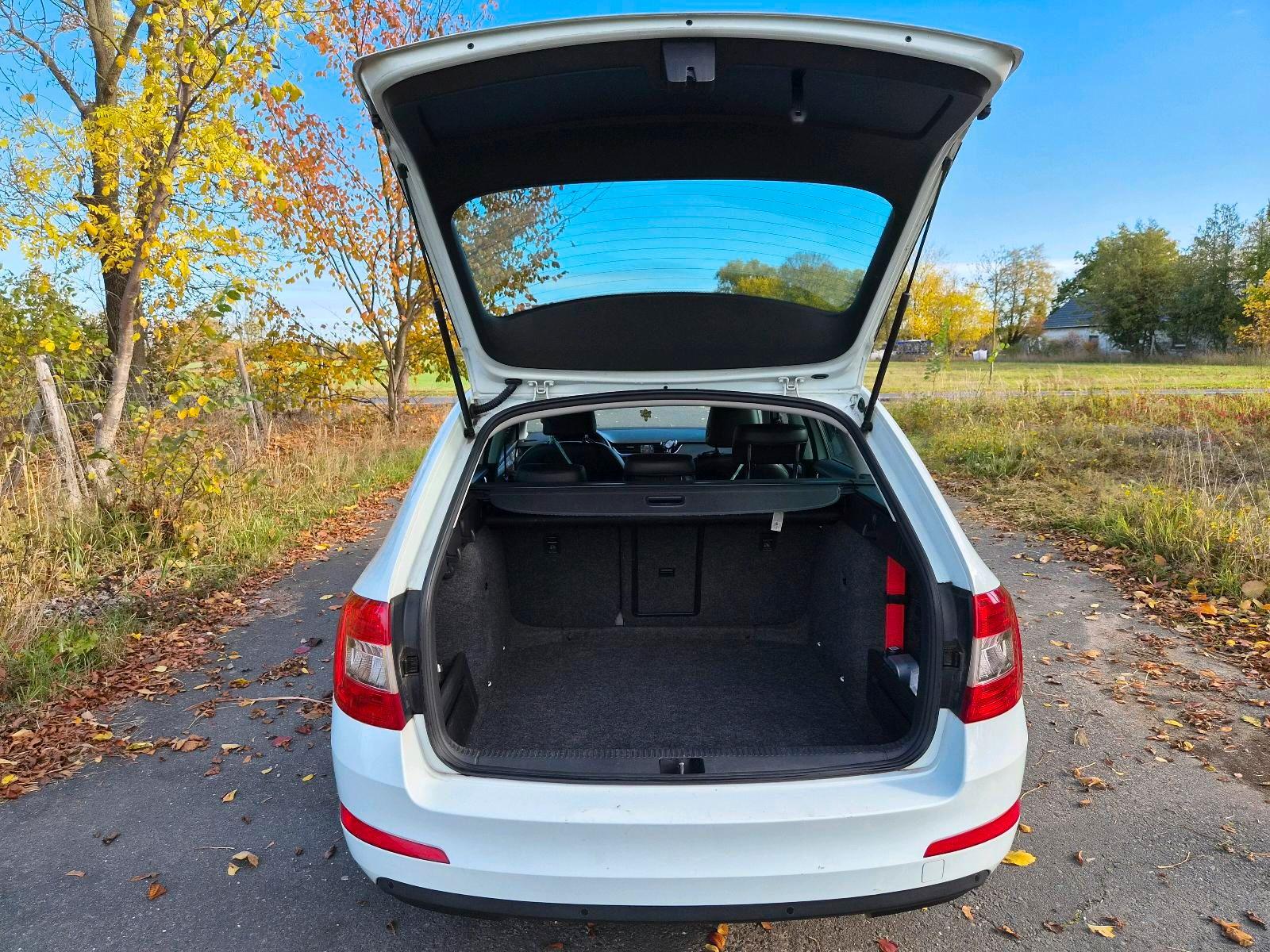Skoda Octavia 2015 — фото 6