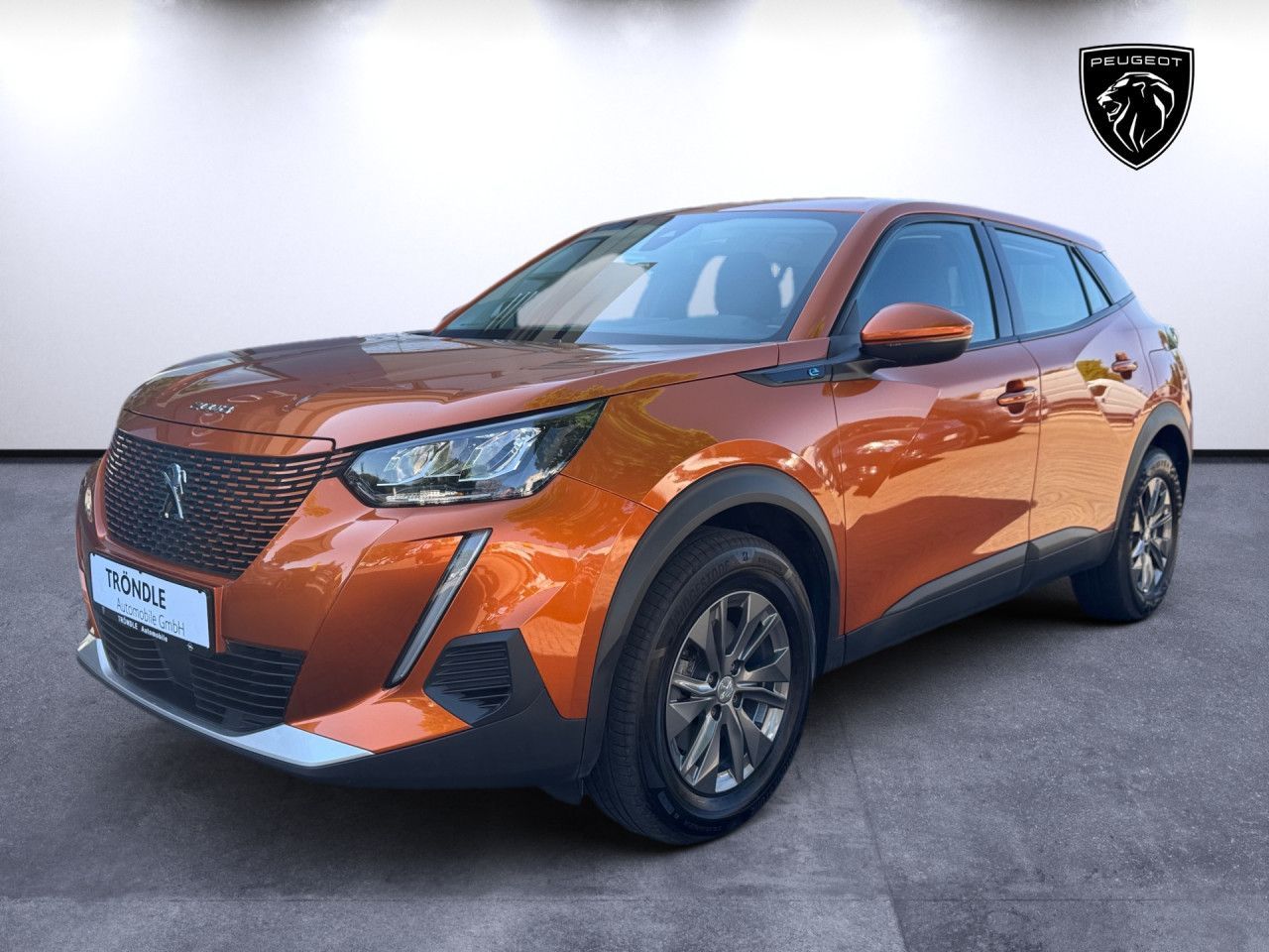 PEUGEOT e-2008 Active PDC GRA 11kW-Lader Klima LED