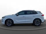 Cupra Terramar 1.5 eTSI DSG RüKa - Cupra Terramar Jahreswagen