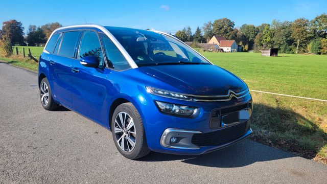 Citroën Citroen C4 Grand Picasso 7-Sitze Auto ACC Xenon