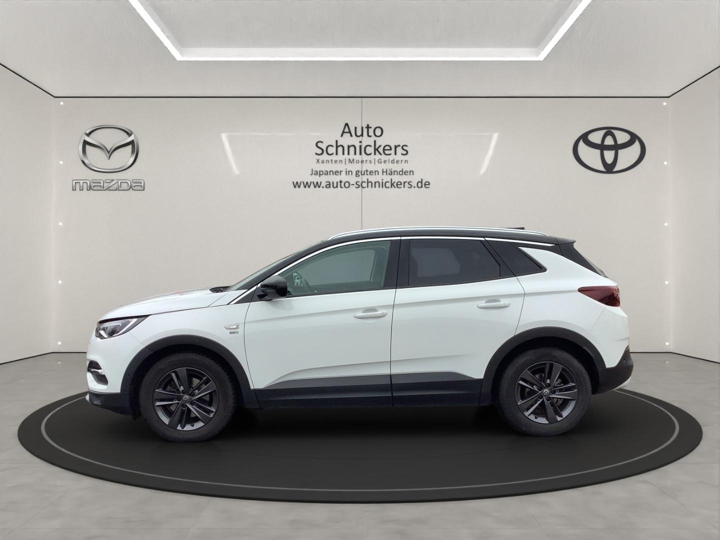 Opel Grandland X 120 Jahre Edition-Ganzjahresräder-Na
