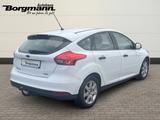 Ford Focus Ambiente 1.0 EcoBoost Ambientebeleuchtung  - Ford Focus: Ambiente