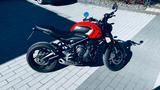 Triumph Trident 660 - TRIUMPH TRIDENT