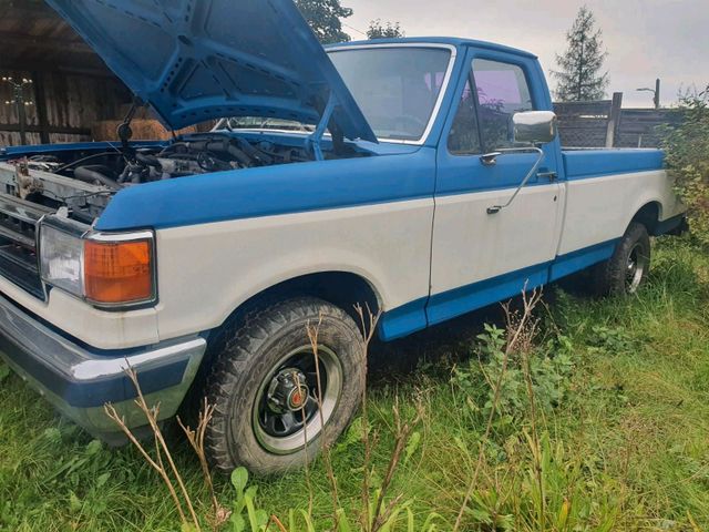 Ford F150 6 Zylinder 4,9l