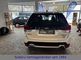 Subaru Forester Platinum - Subaru Forester Gebrauchtwagen