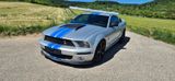Ford Mustang GT Shelby Optik 4,6 Liter V8 20 Zoll H&R - Ford Mustang aus 2005: V6