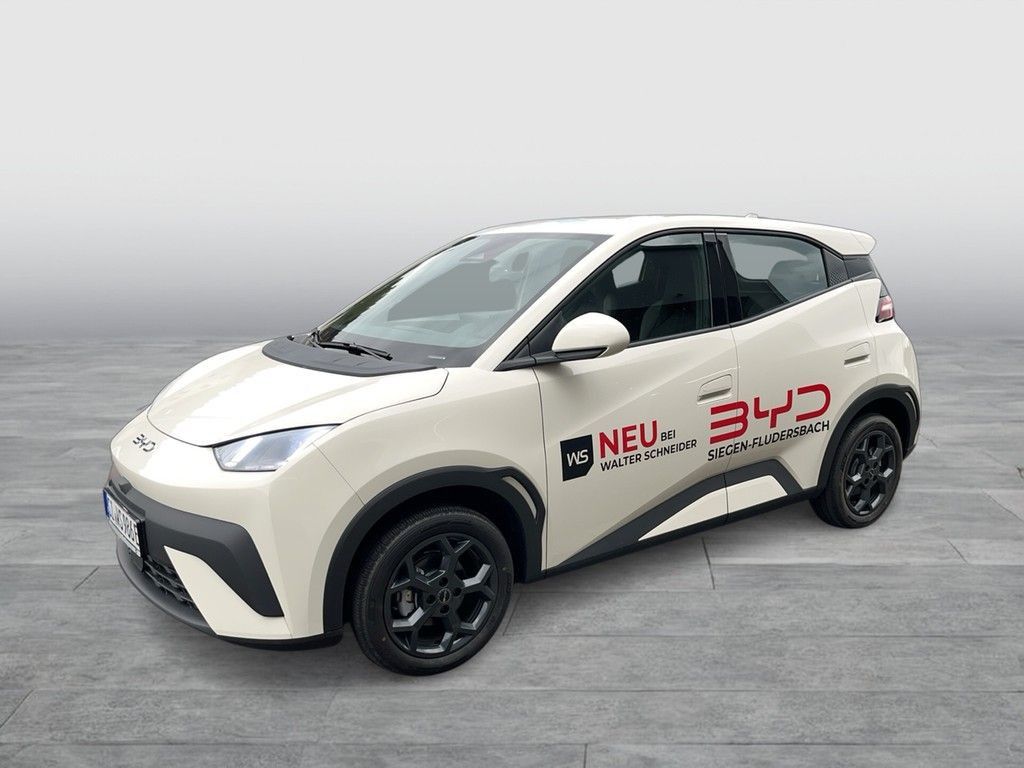 BYD DOLPHIN SURF