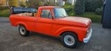 Ford F 100  - Ford F 100: Geländewagen