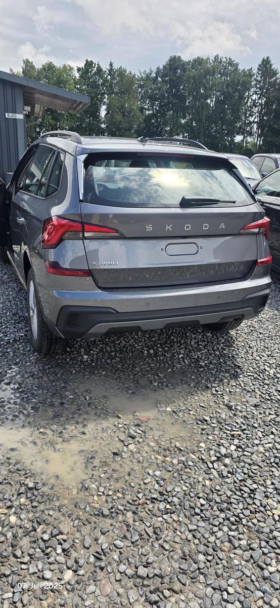 Skoda Kamiq Selection (Selection ) 1,0TSI 7Gang DSG