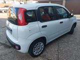 Fiat Panda easy 1,2 51kw 55tkm Klima - sparsam - Fiat Panda: 5.5
