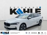 Skoda Superb Combi 2.0 TDI DSG Selection Navi AHK LED 
