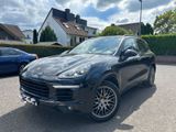 Porsche Cayenne Diesel Platinum Edition Platinum Edition - Porsche Cayenne in Frankfurt (Main)