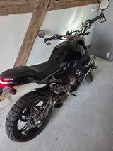 Zontes ZT 125 -G1 - ZONTES MOTORRAD