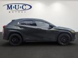 Lexus UX 250 h - Lexus UX Gebrauchtwagen