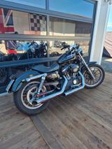 Harley-Davidson Harley-davidson 883 Sportster Standard - HARLEY-DAVIDSON 2006 883 SPORTSTER