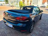 Volkswagen Golf  6 - 1.6 TDI Cabriolet  schwarz metallic - Volkswagen Golf: Cabrio, Golf6
