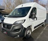 Fiat Ducato Maxi Grossr.-Kasten 35 180 L4H2 RS: 4035 - Fiat Ducato in Hamm