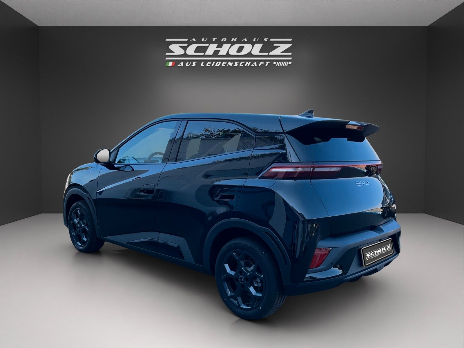 BYD DOLPHIN SURF