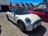 MINI Cooper Cabrio Aut. NAVI PLUS KOMFORT HUD - MINI Cooper Cabrio aus 2021