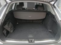 Audi Q5 - Vorschau Bild 20