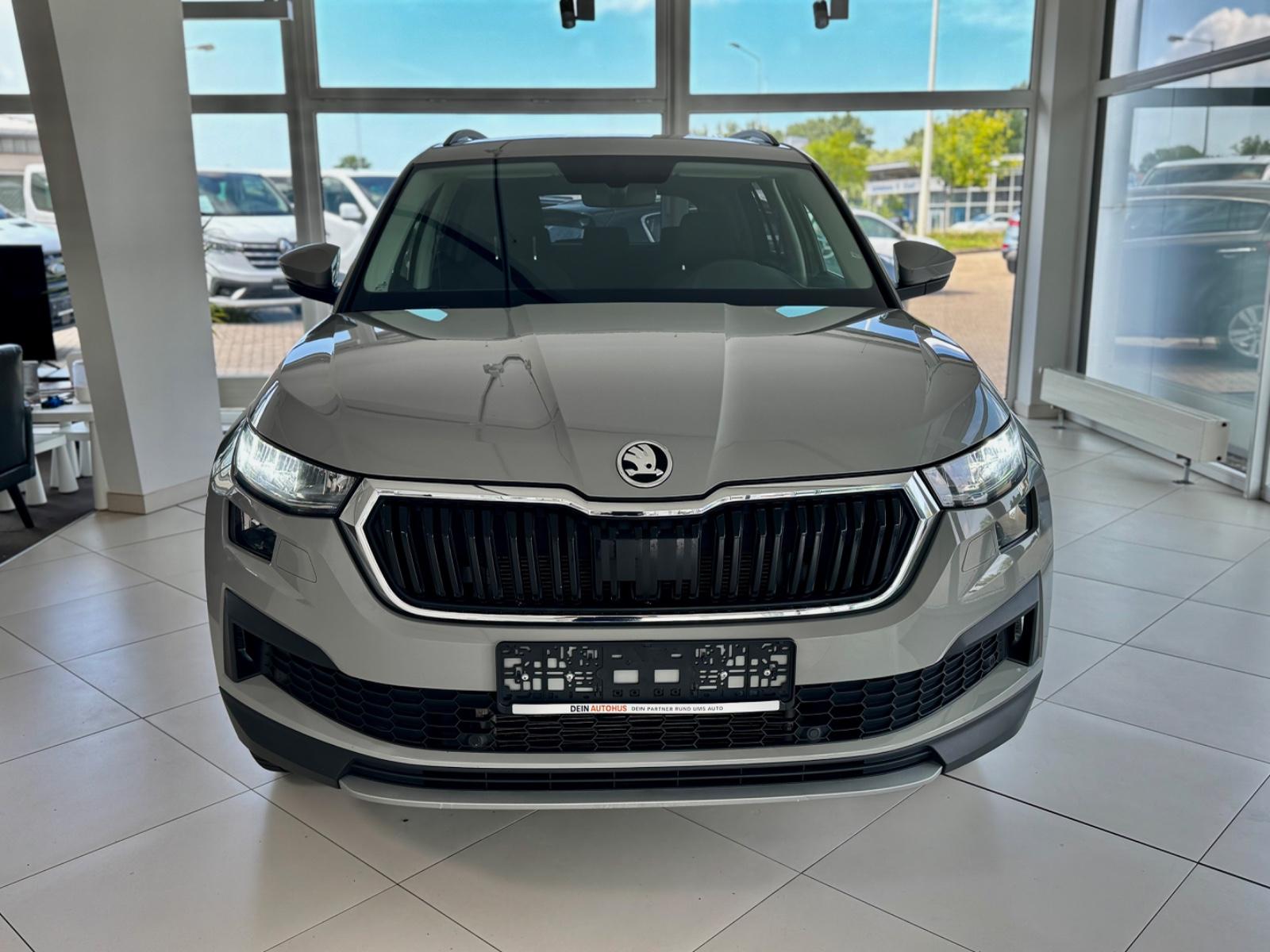 Skoda Kodiaq 2.0TDI 1.Hand/Facelift/Kamera/Totwinkel