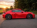 Porsche Cayman GT4 /2.Hand/Originalzustand - Porsche Cayman aus 2015