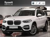 BMW X3 xDrive20d Luxury RFK HIFI LivCockpProf. DAB - BMW X3 Hybrid (Diesel/Elektro)
