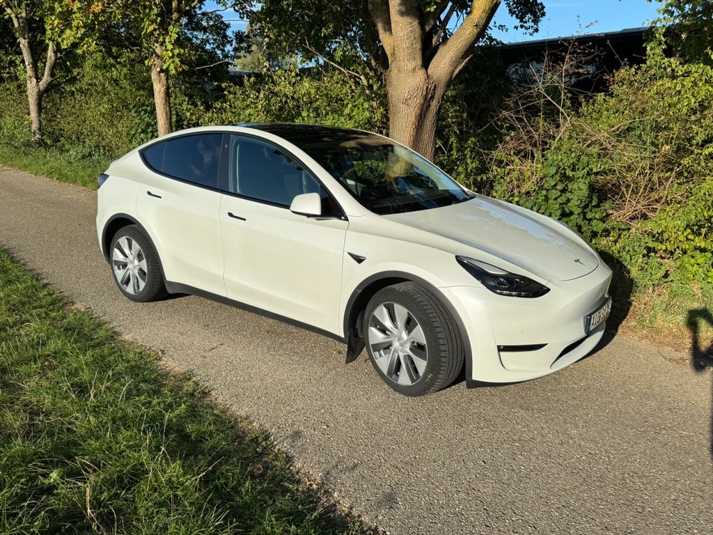 Image of Tesla Model Y