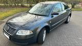 Volkswagen Passat 2.0 Comfortline Comfortline - gebrauchte VW Passat aus dem Jahr 2002