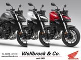 Honda CB1000 Hornet 2025 *sofort verfügbar* - HONDA HORNET