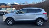 Ford Kuga 1.6 2x4 SYNC *AHK*WinterPk*KeyFree* - Ford Tageszulassungen