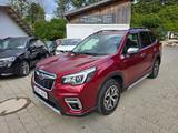 Subaru Forester Active - Subaru Forester mit Benzin-Antrieb: Active