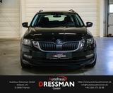 Skoda Octavia DSG 1.0 TSI Ambition DYNAMIC-PAK CARPLAY - Skoda Octavia Gebrauchtwagen in Hamm