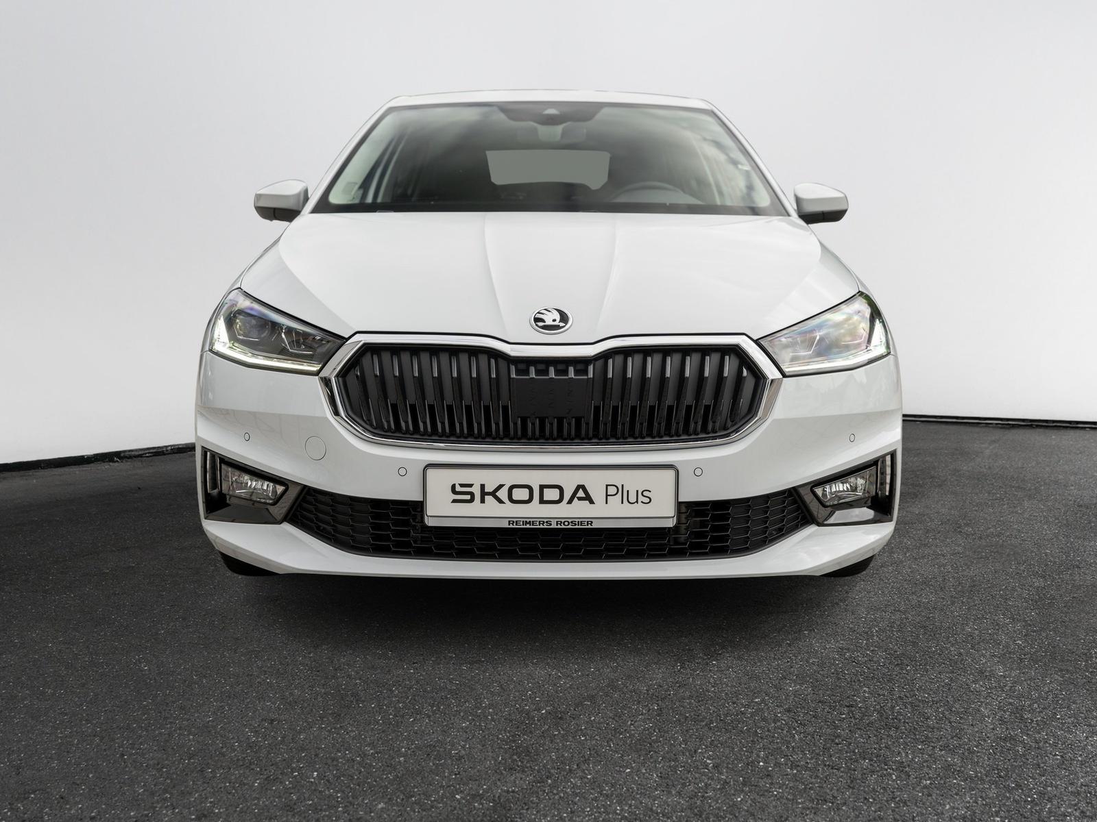 Skoda FABIA TOUR 1.0 TSI Kam. Navi DynLicht KlimaA LED
