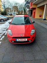 Fiat Punto Young - Fiat Punto: Rot