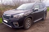 Subaru Forester 2.0ie e-BOXER Hybrid LPG+Benzin+Akku! - Subaru Forester mit LPG-Antrieb