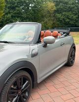MINI Cooper S Cabrio - MINI Cooper S Cabrio von privat