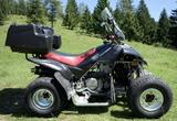 Dinli 500 Special Sport Quad - Offers