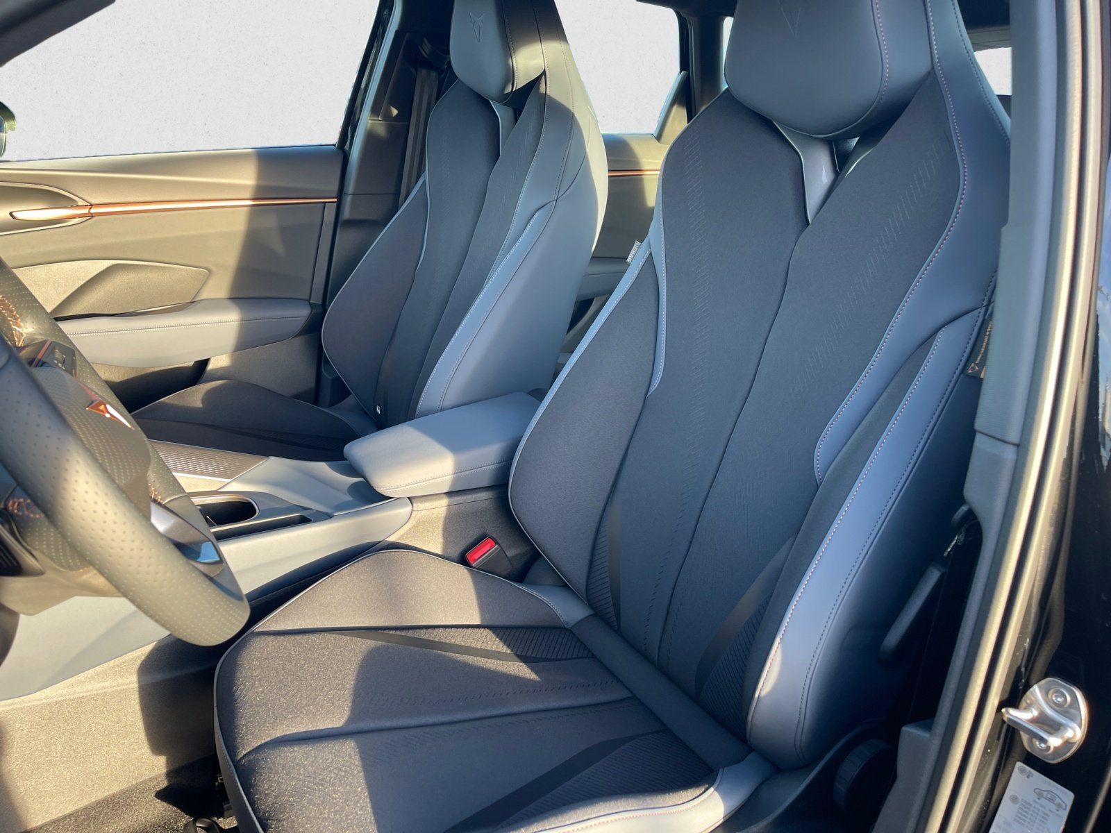 Cupra Terramar - Bild 8