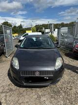Fiat Punto 1.4 2009 HU 12/25 Top Zustand ! - Fiat Punto aus 2009: 1.4