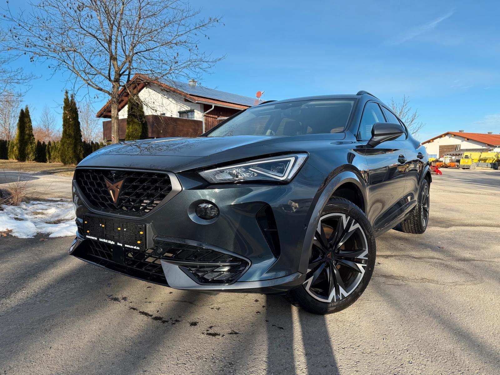 Cupra Formentor 1.5 TSI / FullLInk /360 Grad / Navi