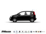 Fiat Panda MY26 Pandina ICON Hybrid 1.0 GSE TEMPOMAT  - Fiat Panda: I