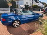 Mercedes-Benz CLK 230 KOMPRESSOR AVANTGARDE Avantgarde - Mercedes-Benz aus 2001: Roadster